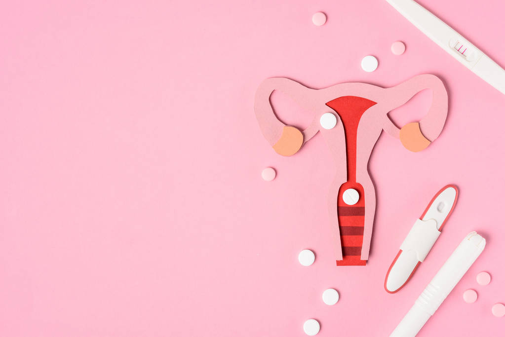 女性生殖系统, 药片和各种怀孕测试粉红色的顶部视图 女性生殖系统, 药片和各种怀孕测试粉红色的顶部视图