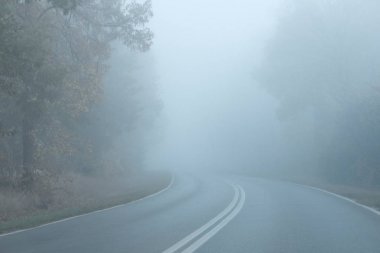 秋天的早晨, 很早的時候。森林里空蕩蕩的街道。濃霧阻礙能見度