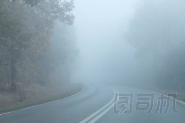 秋天的早晨, 很早的時候。森林里空蕩蕩的街道。濃霧阻礙能見度