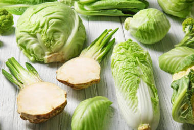 淺木背景下的不同類型白菜