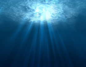 水下图片