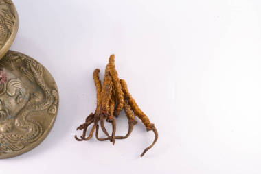 蘑菇蟲草是中國(guó)傳統(tǒng)藏族醫(yī)學(xué)