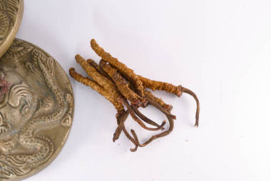 蘑菇蟲草是中國(guó)傳統(tǒng)藏族醫(yī)學(xué)