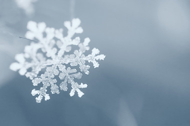冬天，雪花宏照片