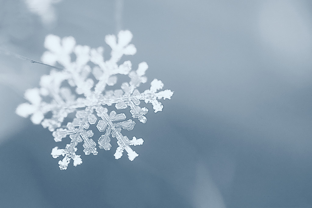 冬天，雪花宏照片
