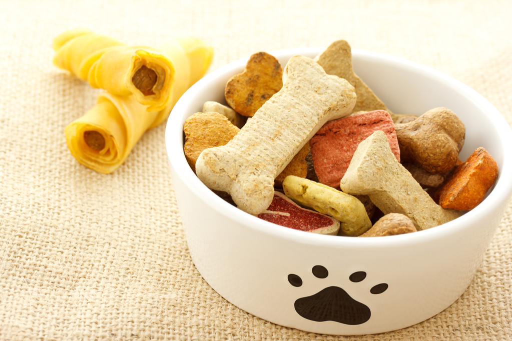 狗食碗
