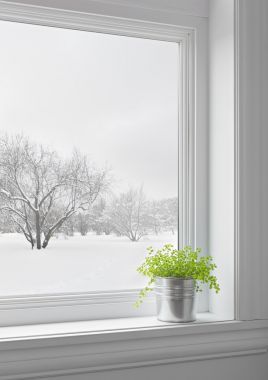 綠色的植物和通過(guò)窗口看到的冬季風(fēng)景