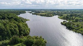 岸边有树木和房屋的小河鸟图