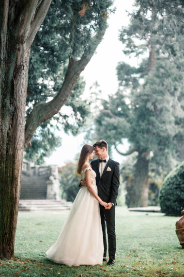 婚礼夫妇在公园里亲吻在雨中的一棵树下