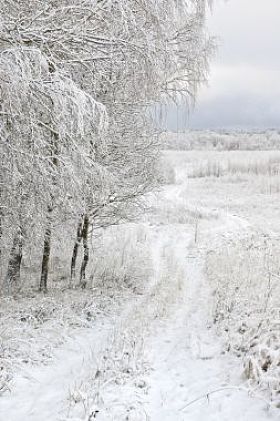 第一场雪