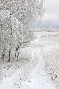 第一场雪