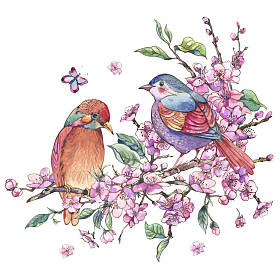 水彩画花卉春天贺卡, 粉红色绽放的树枝 o