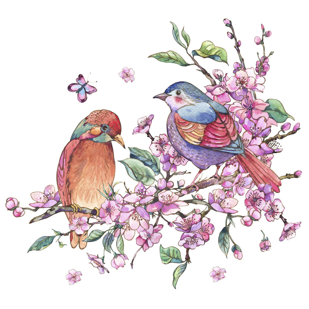 水彩画花卉春天贺卡, 粉红色绽放的树枝 o 水彩画花卉春天贺卡, 粉红色绽放的树枝 o