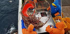 旅行天气海太阳照片