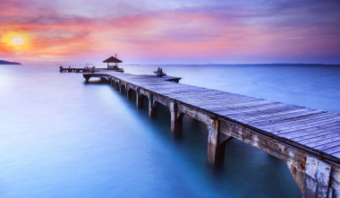 樹木繁茂的橋梁照片