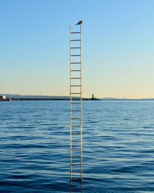 在海的一架梯子上只鸟 在海的一架梯子上只鸟