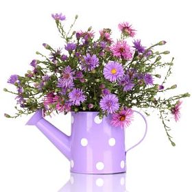 束美丽的紫色的花在水中可以隔离在白色