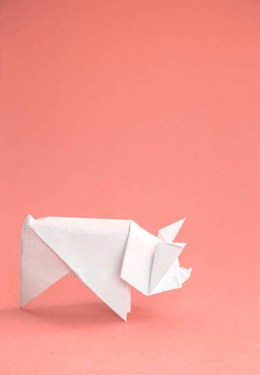 中国十二生肖星座猪年, 白纸切猪, 新年快乐2019年。2019年活珊瑚的颜色