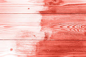 半画活珊瑚木板。装修理念。顶部视图。2019年的颜色。装修理念