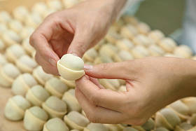 女人的手做饺子, 特写图片