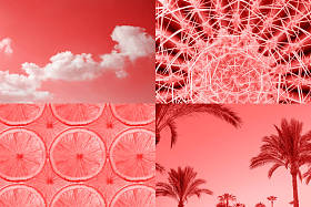 热带创意拼贴灵感来自于2019年的生活珊瑚颜色。炎热的夏天心情, 时尚最小