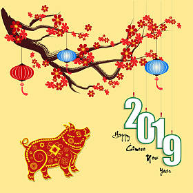 2019年新年快乐。中国新年, 猪年。背景樱花