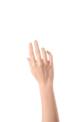裁剪的妇女手孤立在白色的看法