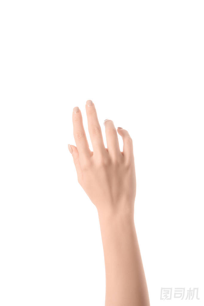 裁剪的婦女手孤立在白色的看法