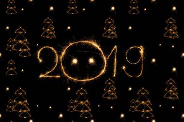 2019年和冷杉树的光在黑色背景唱