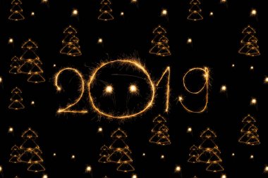 2019年和冷杉树的光在黑色背景唱
