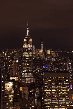 鸟图的建筑物和夜间城市灯在纽约, 美国