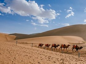 在甘肃敦煌明沙山的沙丘和沙漠中旅行的骆
