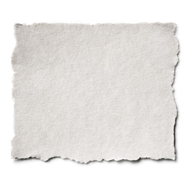 孤立的撕的纸