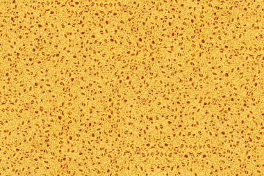 天然有机海绵结构纹理背景壁纸