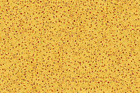 天然有机海绵结构纹理背景壁纸