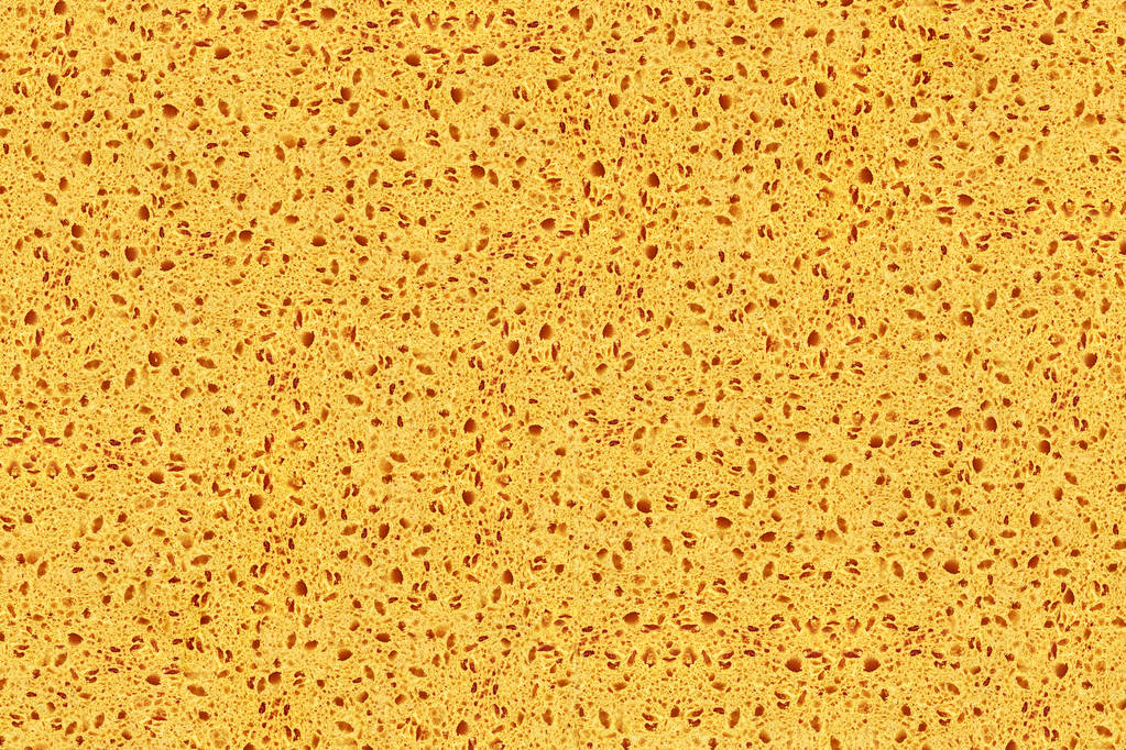 天然有机海绵结构纹理背景壁纸