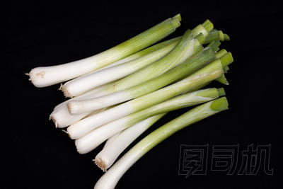 黑色背景上新鮮的嬰兒韭菜圖片