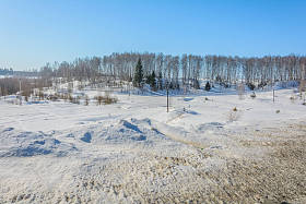 冬天森林附近的雪山图片