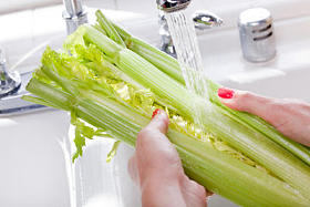 女人洗芹菜在厨房水池