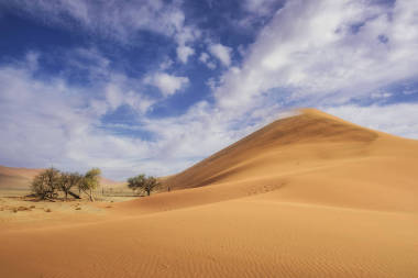 在納米比亞納米比亞沙漠, 非洲的 sossusvlei 鹽鍋, 高紅色沙丘