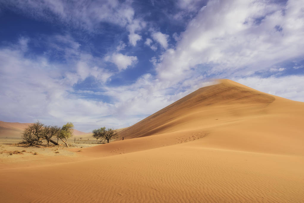 在纳米比亚纳米比亚沙漠, 非洲的 sossusvlei 盐锅, 高红色沙丘