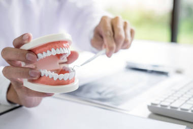 牙醫(yī)手捧牙頜模型與牙科工具清潔牙科