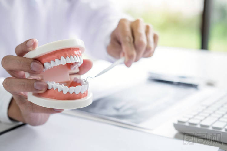 牙醫(yī)手捧牙頜模型與牙科工具清潔牙科