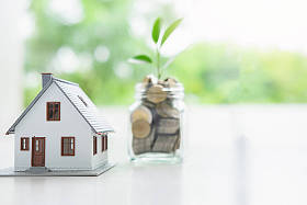 商人的手, 把硬币给生长在硬币和钞票上的树木。业务增长理念