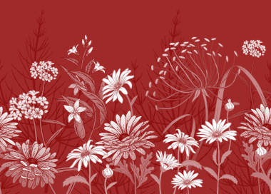 與野花的邊界。無(wú)縫的夏季圖案與田野和花園的花朵?；ɑ鼙尘坝∷⒈诩? 紙張, 紡織品, 面料。手繪草圖。時(shí)尚向量例