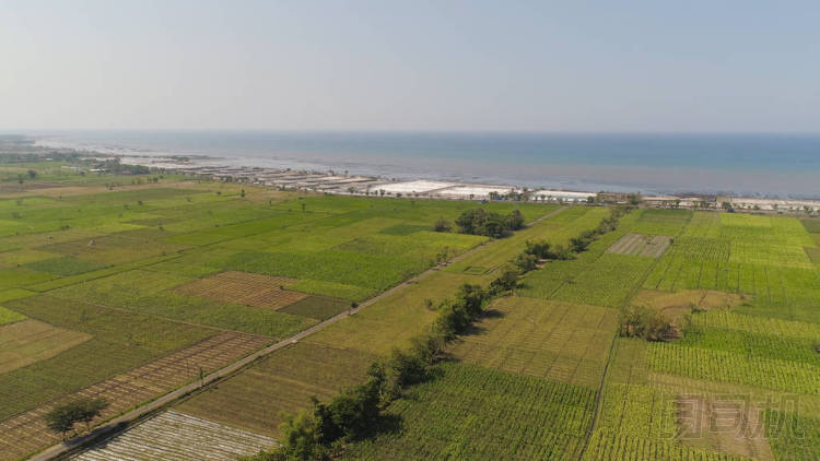 印度尼西亞的農(nóng)業(yè)用地