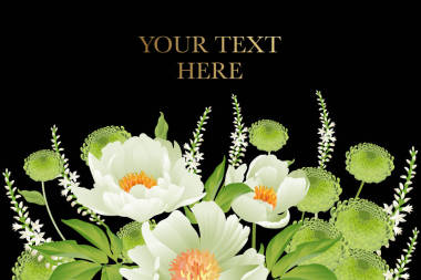 花卉卡片豪华图案精致柔和的白色花园大师牡丹黑色背景植物期风格的矢量花束和花圈花园花卉模板名片, 海报, 标志, 传单