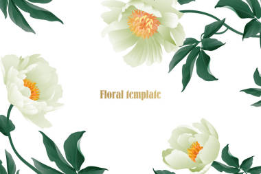 花卉卡豪華圖案。精致柔和的白色花園牡丹在白色背景。植物期復(fù)古風(fēng)格向量花束和花圈花園花。名片、海報(bào)、標(biāo)牌、傳單模板