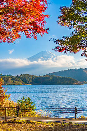 在日本山梨县, 山上的美丽风景与枫叶树环绕湖