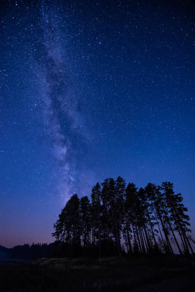 長(zhǎng)時(shí)間曝光夜風(fēng)景與銀河系星系在高針葉樹(shù)之上
